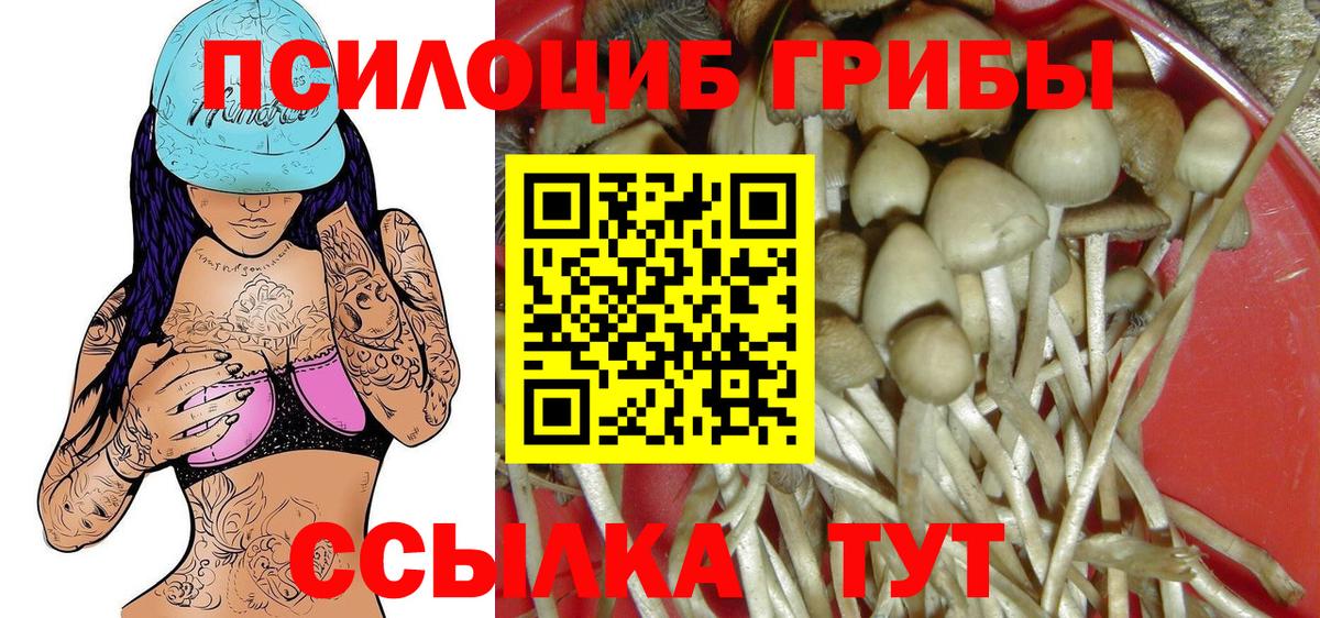 Галлюциногенные грибы прущие грибы  Вход с VPN  Гуково 
